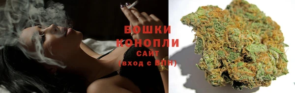 гидра Лихославль